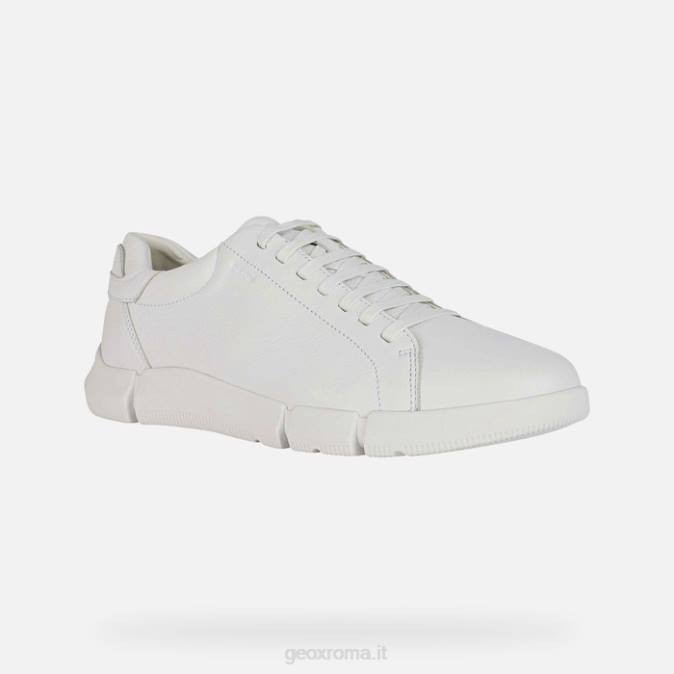 un uomo d'affari FX0W625 bianco Geox