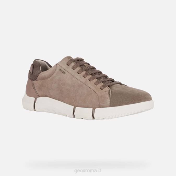 un uomo d'affari FX0W646 grigio tortora Geox