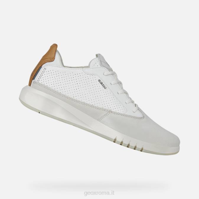 uomo aerantis FX0W800 papiro/bianco Geox