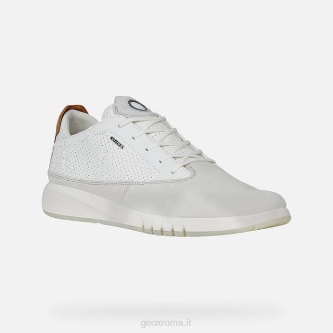 uomo aerantis FX0W800 papiro/bianco Geox