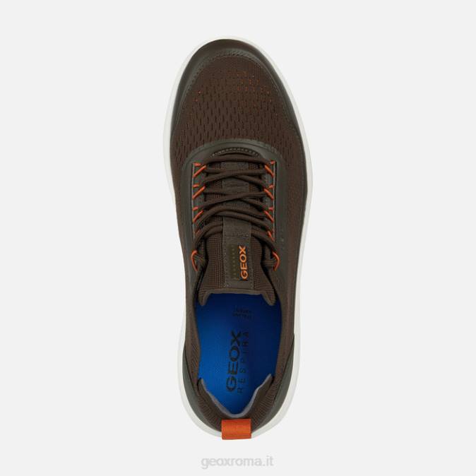 uomo sferico FX0W683 militare Geox