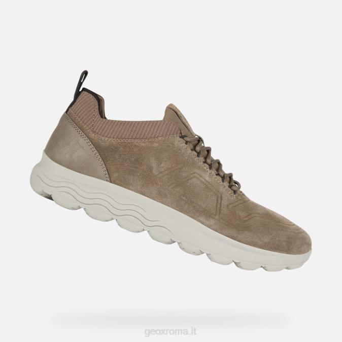 uomo sferico FX0W882 grigio tortora Geox