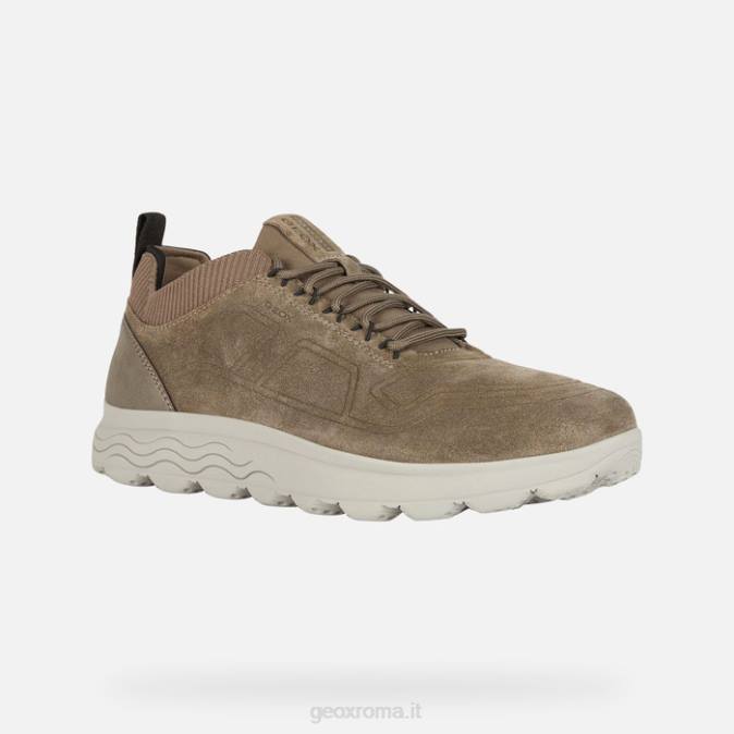 uomo sferico FX0W882 grigio tortora Geox