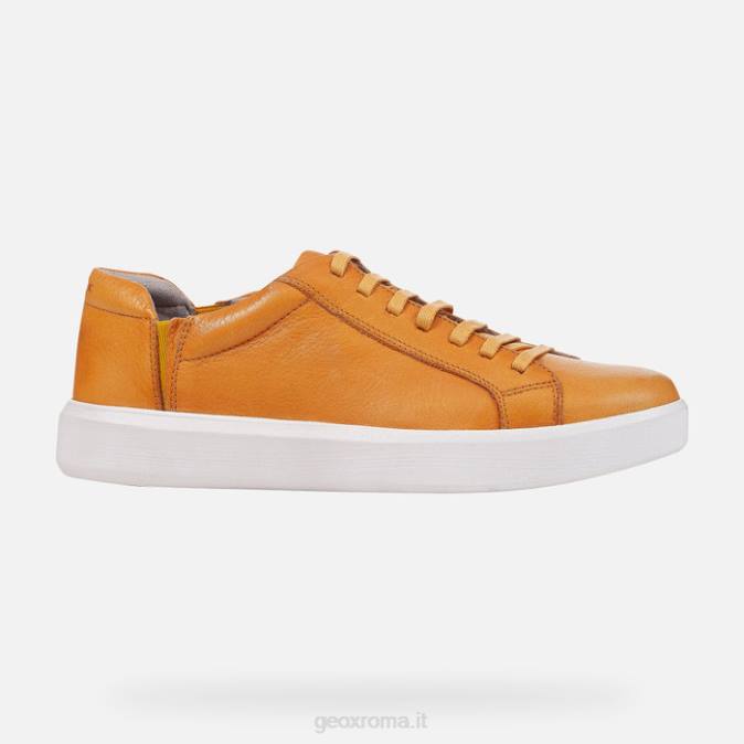 velletri uomo FX0W822 giallo scuro Geox