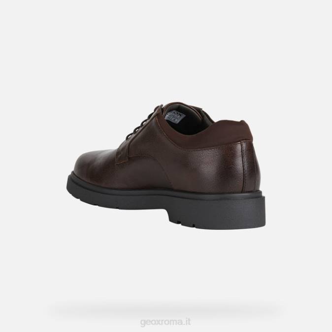 sferica ec1 uomo FX0W902 caffè Geox