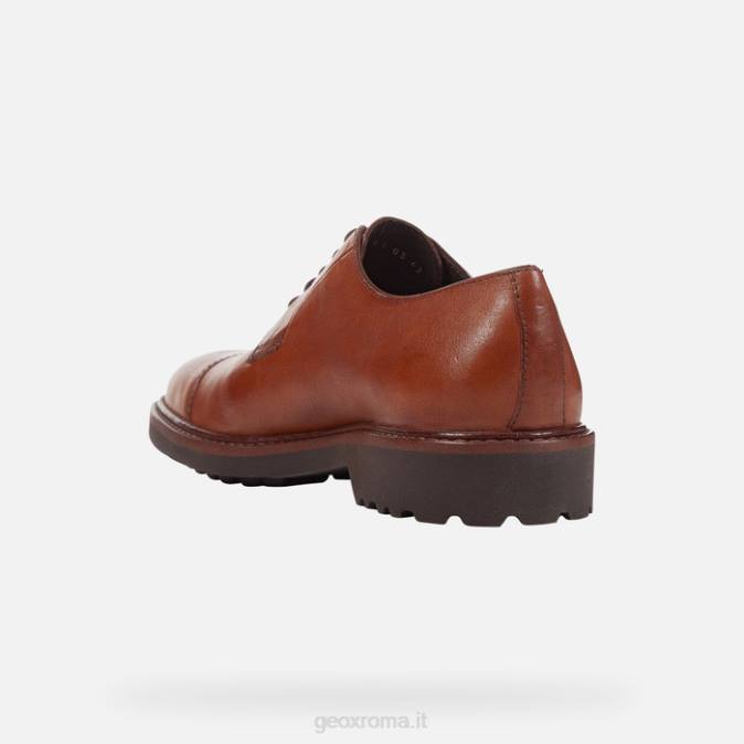 uomo di cannaregio FX0W957 marrone Geox