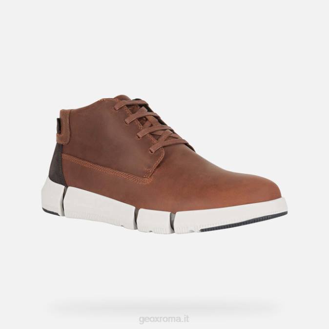 adacter h uomo FX0W668 marrone Geox