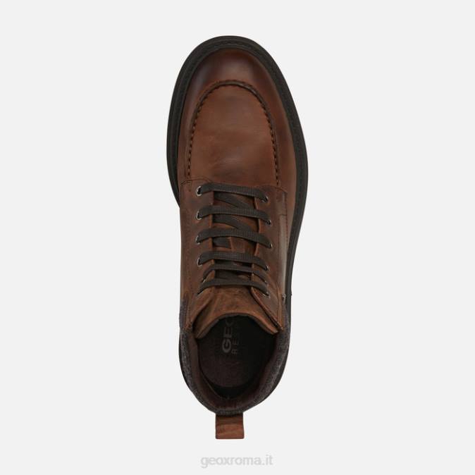 faloria abx man FX0W662 caffè Geox