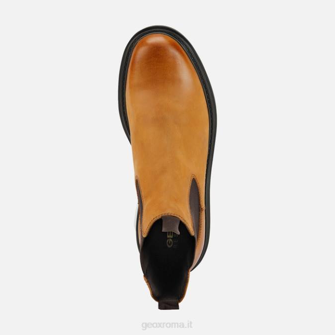 faloria uomo FX0W660 mostarda Geox