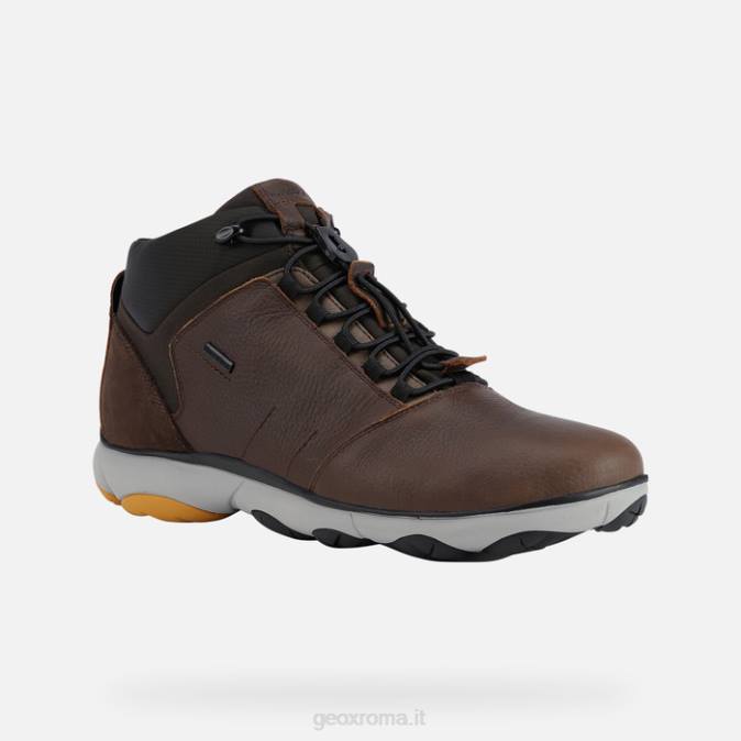 nebulosa 4 x 4 abx uomo FX0W1828 caffè Geox