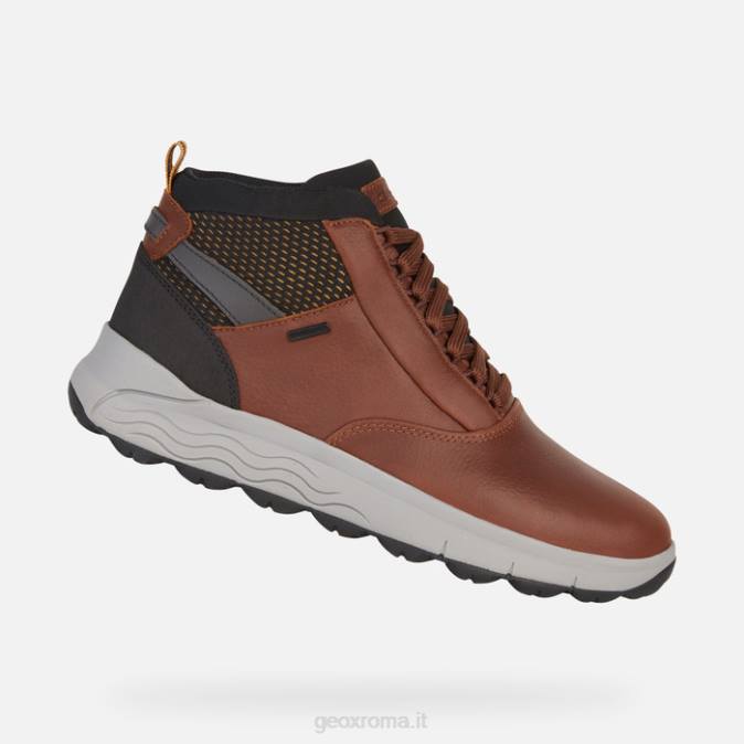 sferica 4x4 abx man FX0W790 marrone Geox