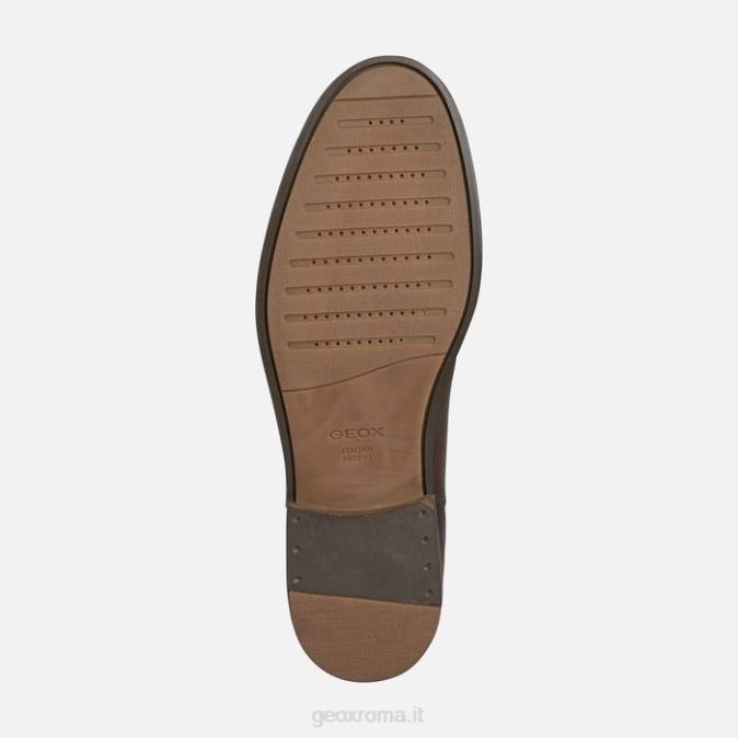 uomo baile FX0W892 caffè Geox